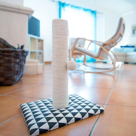 Pe Na Areia By Stay In Alentejo Vila Nova de Milfontes Kültér fotó